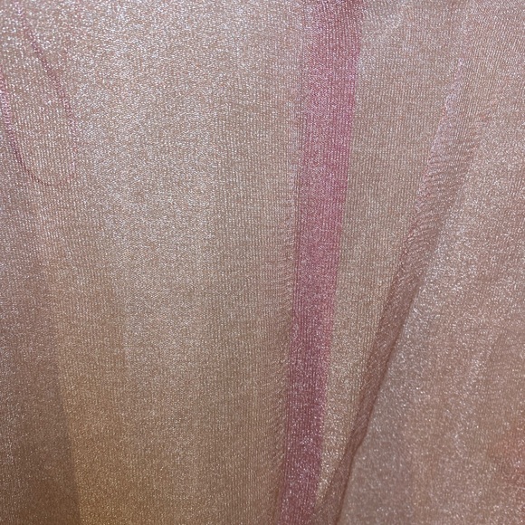 NWOT Zara Metallic Rose Gold Sheer Top - Picture 2 of 6
